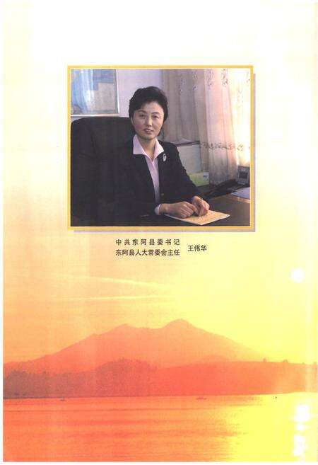 《东阿县志(1986-2005)》.pdf_山东省志预览图4