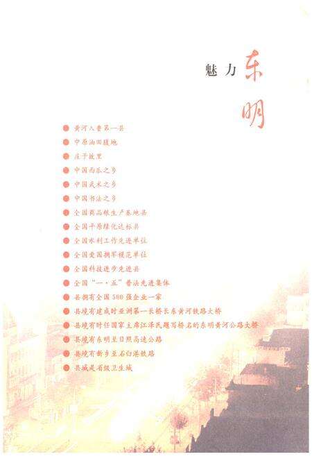 《东明县志(1986-2005)》.pdf_山东省志预览图2