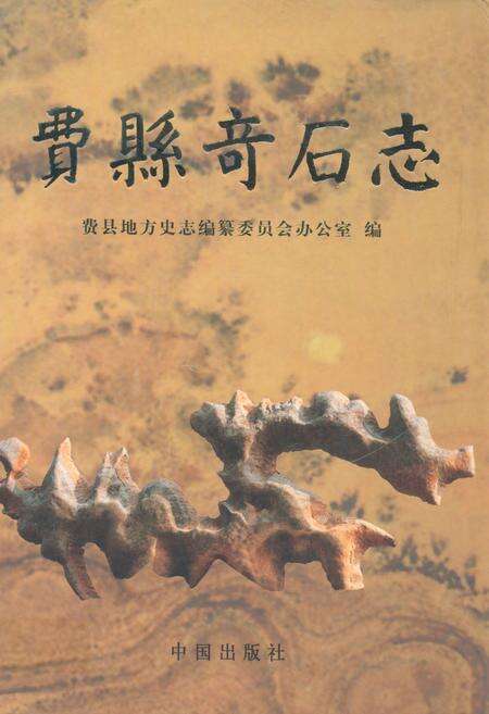 《费县奇石志》.pdf_山东省志缩略图