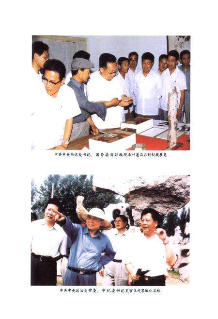《费县奇石志》.pdf_山东省志预览图3