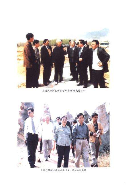 《费县奇石志》.pdf_山东省志预览图4