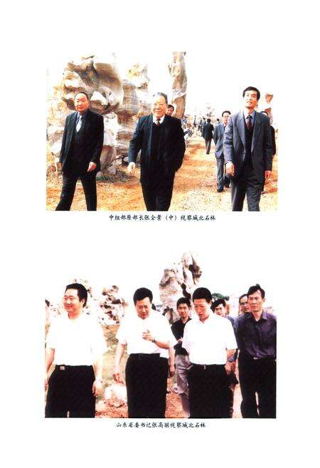 《费县奇石志》.pdf_山东省志预览图5