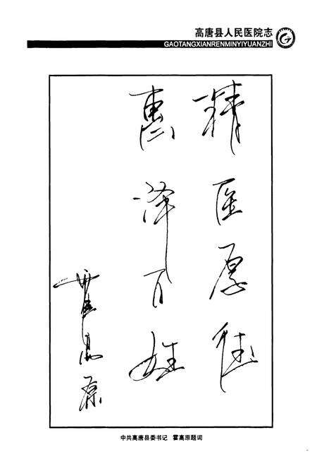 《高唐县人民医院志(济宁医学院附属高唐县人民医院志)(1947-2010)》.pdf_山东省志预览图4