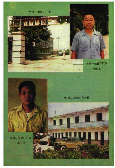 《邹平县棉花志》.pdf_山东省志预览图5