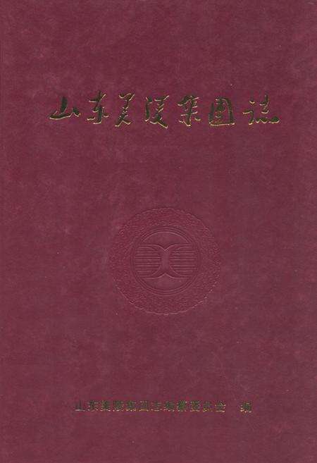 《山东美陵集团志》.pdf_山东省志缩略图