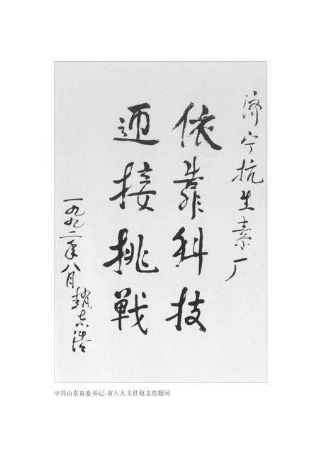 《鲁抗志(第二卷)(1987-1994)》.pdf_山东省志预览图2