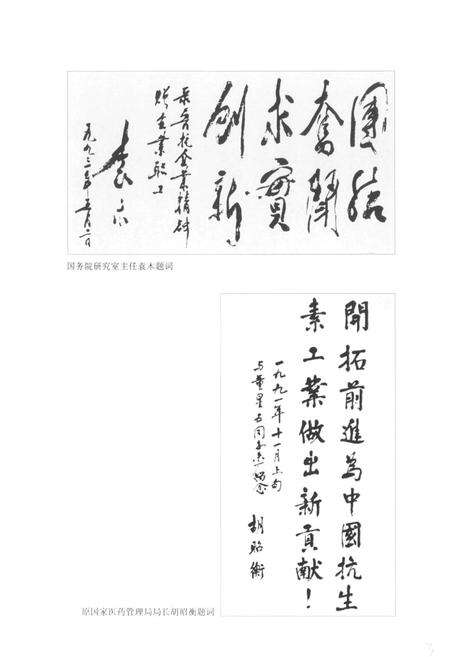 《鲁抗志(第二卷)(1987-1994)》.pdf_山东省志预览图4