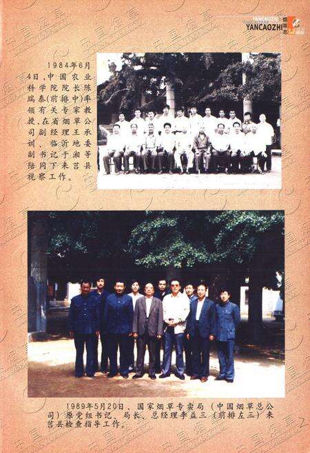 《日照烟草志·第一部》.pdf_山东省志预览图3