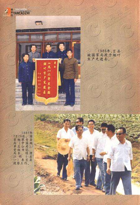 《日照烟草志·第一部》.pdf_山东省志预览图4