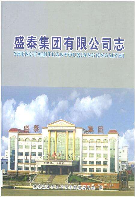 《盛泰集团有限公司志》.pdf_山东省志缩略图