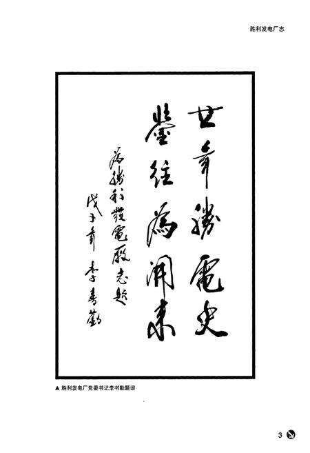 《胜利发电厂志(1988-2007)》.pdf_山东省志预览图5