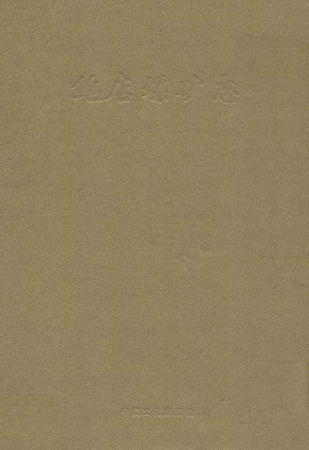 《鲍店煤矿志》.pdf_山东省志缩略图