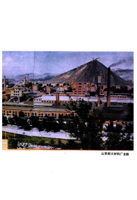 《《山东耐火材料厂志全一卷(1904-1985)》》.pdf_山东省志预览图3