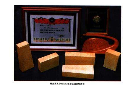 《《山东耐火材料厂志全一卷(1904-1985)》》.pdf_山东省志预览图5