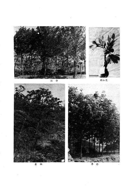 《《掖县医药志》》.pdf_山东省志预览图4