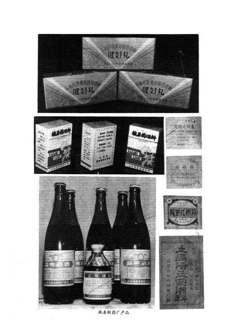 《《掖县医药志》》.pdf_山东省志预览图5