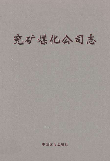 《兖矿煤化公司志》.pdf_山东省志缩略图