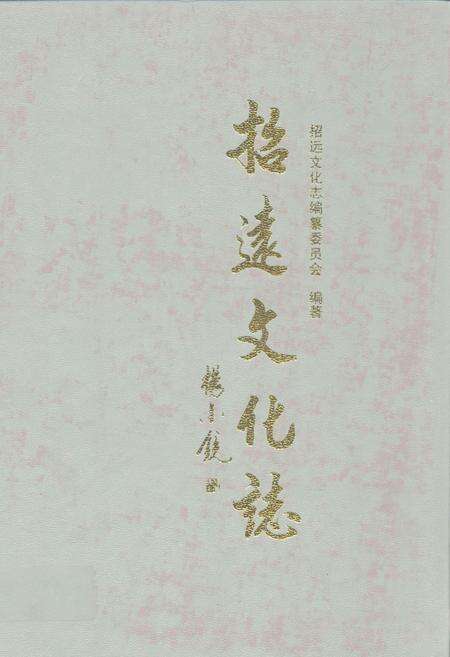 《招远文化志》.pdf_山东省志缩略图