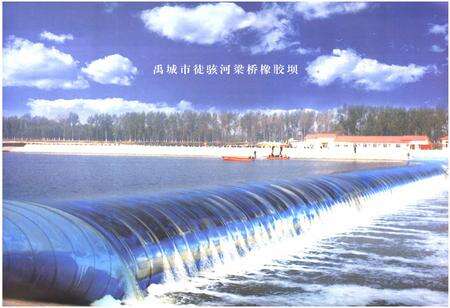 《禹城市水利志(1986-2005)》.pdf_山东省志预览图2