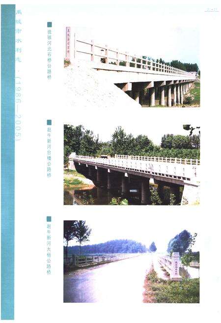 《禹城市水利志(1986-2005)》.pdf_山东省志预览图3