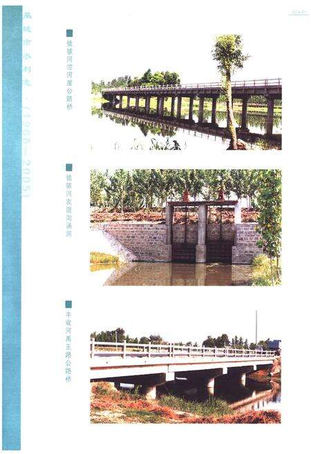 《禹城市水利志(1986-2005)》.pdf_山东省志预览图5