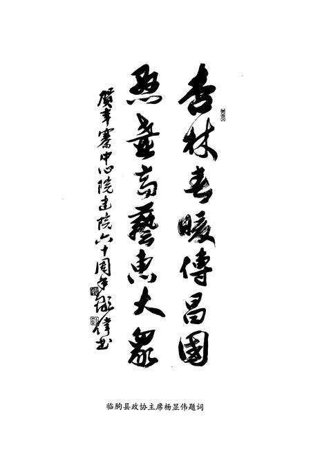 《临朐县辛寨中心卫生院志(1948-2008)》.pdf_山东省志预览图3