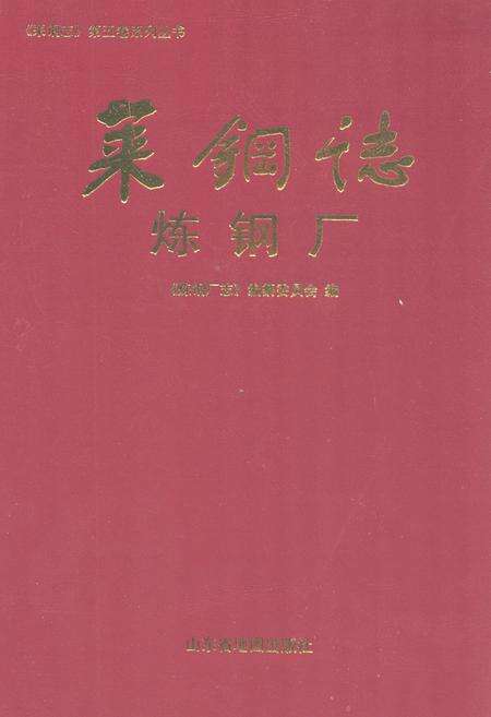 《莱钢志炼钢厂2001~2005》.pdf_山东省志缩略图