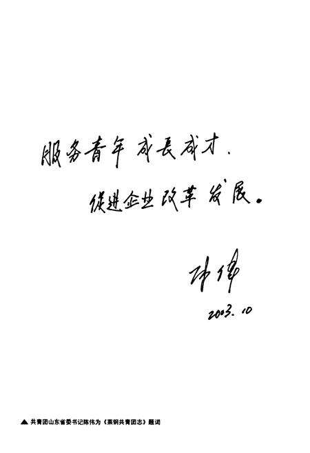 《莱钢共青团志(1973-2002)》.pdf_山东省志预览图4