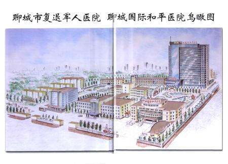 《聊城市复退军人医院聊城国际和平医院院志(1986-2010)》.pdf_山东省志预览图4