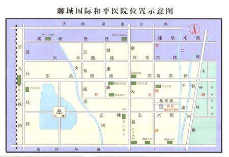 《聊城市复退军人医院聊城国际和平医院院志(1986-2010)》.pdf_山东省志预览图5