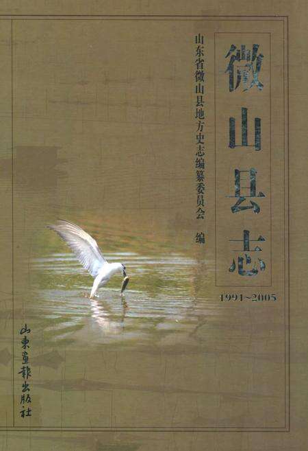 《微山县志》.pdf_山东省志缩略图
