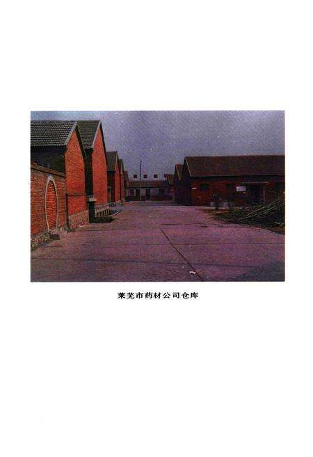 《莱芜医药志》.pdf_山东省志预览图3