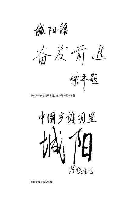 《城阳镇志》.pdf_山东省志预览图3
