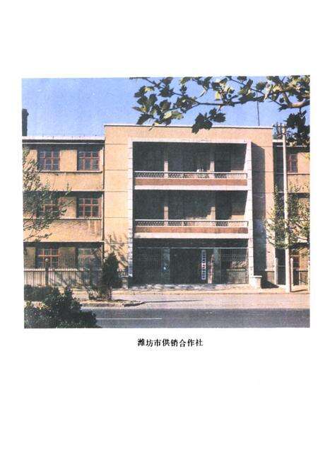 《潍坊市供销合作社志》.pdf_山东省志预览图2