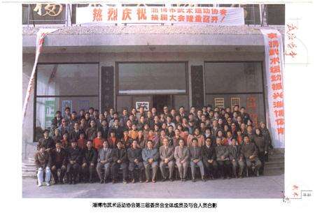 《淄博市武术志》.pdf_山东省志预览图2
