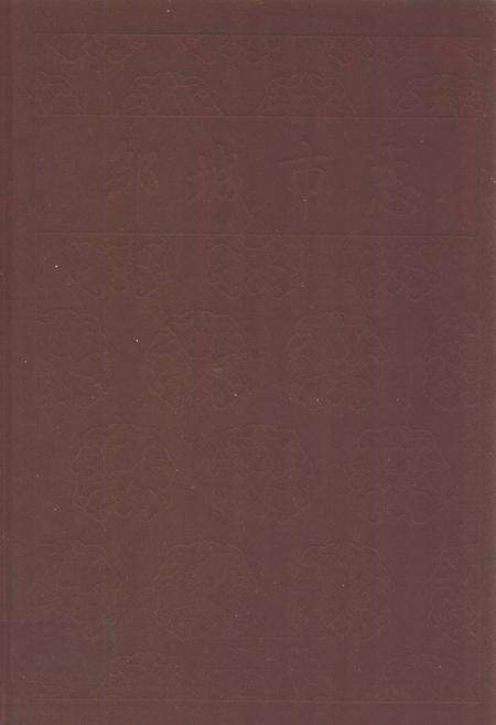 《邹城市志(1991~2005)》.pdf_山东省志缩略图