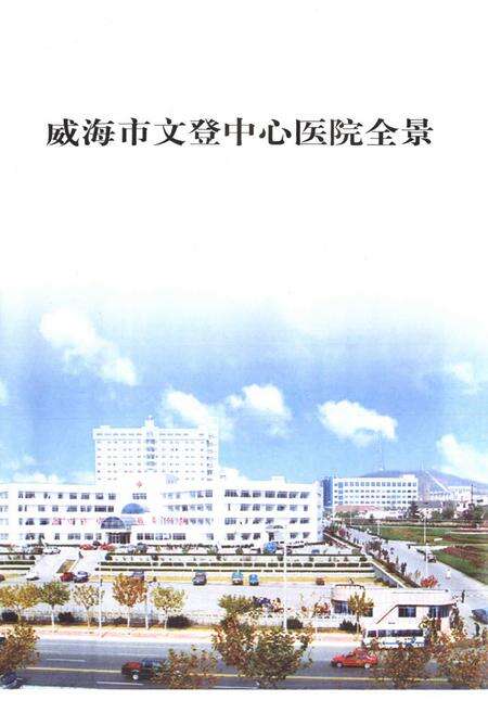 《威海市文登中心医院志(1941-2000)》.pdf_山东省志预览图2