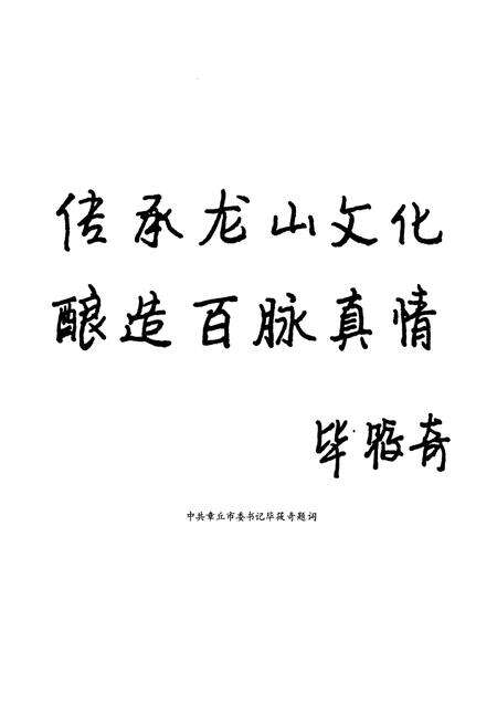 《山东百脉泉酒精有限公司志(1948-2008)》.pdf_山东省志预览图5