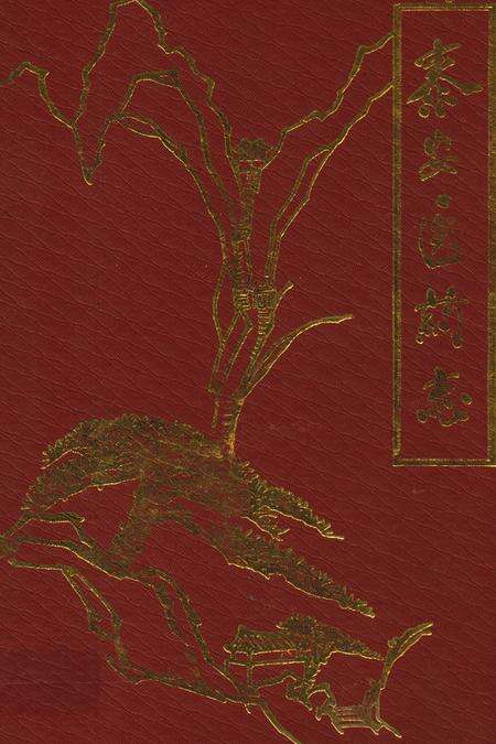 《《泰安医药志》》.pdf_山东省志缩略图