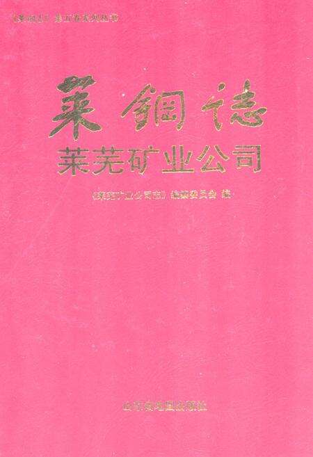 《莱钢志莱芜矿业公司(1996~2005)》.pdf_山东省志缩略图