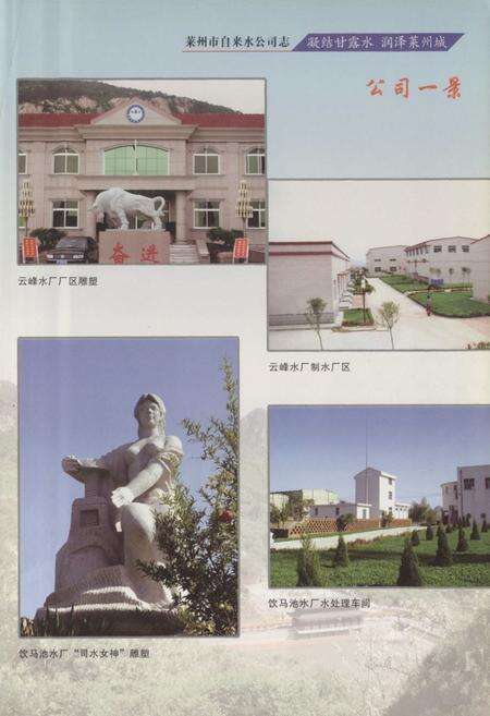 《莱州市自来水公司志(1979-2008)》.pdf_山东省志预览图5