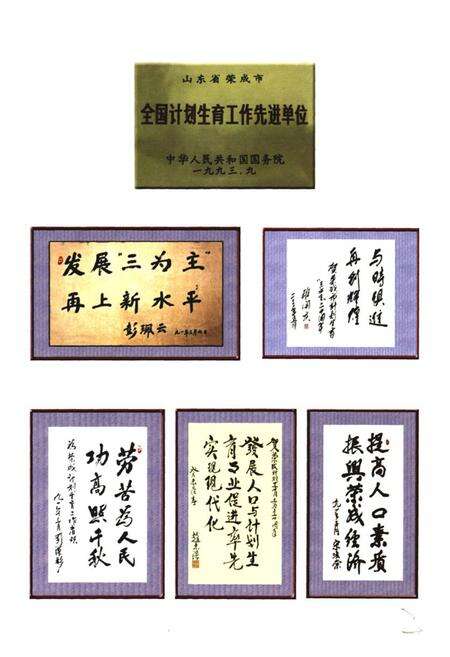 《荣成市人口与计划生育志》.pdf_山东省志预览图3