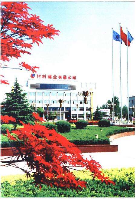 《付村煤业有限公司志(1998-2008)》.pdf_山东省志预览图5