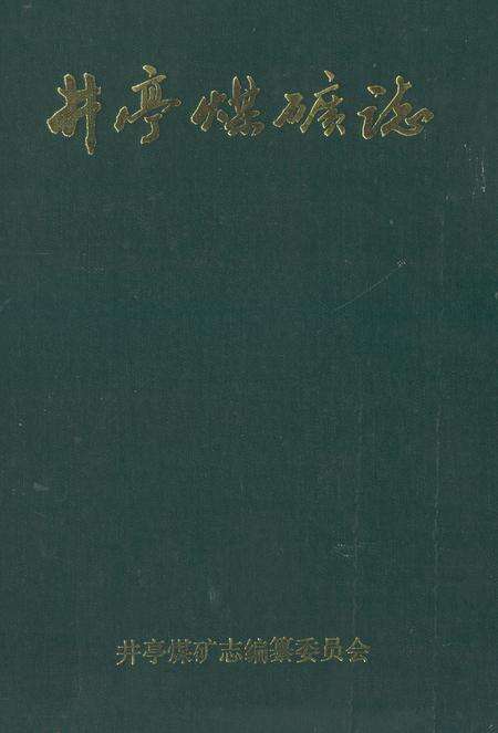 《《井亭煤矿志》》.pdf_山东省志缩略图