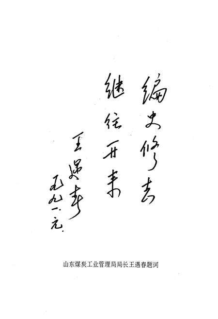 《《井亭煤矿志》》.pdf_山东省志预览图2