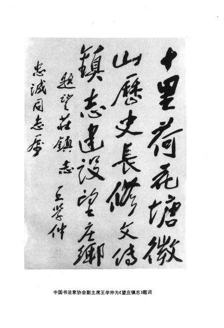 《《望庄镇志》》.pdf_山东省志预览图3