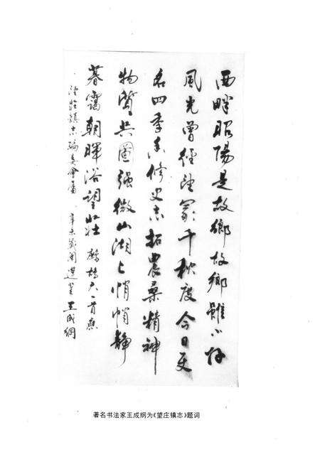 《《望庄镇志》》.pdf_山东省志预览图4