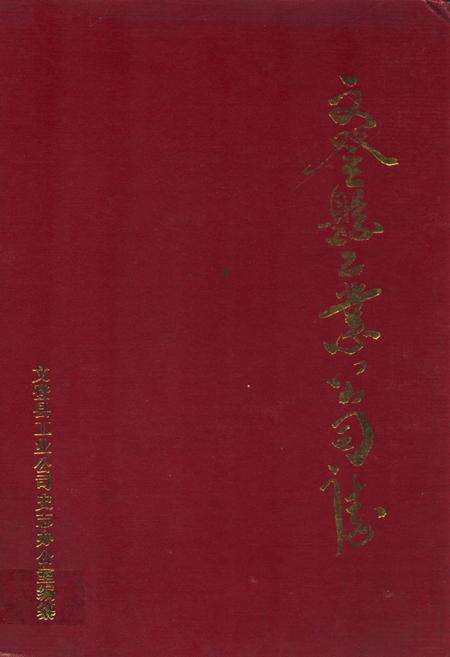 《文登县工业公司志》.pdf_山东省志缩略图