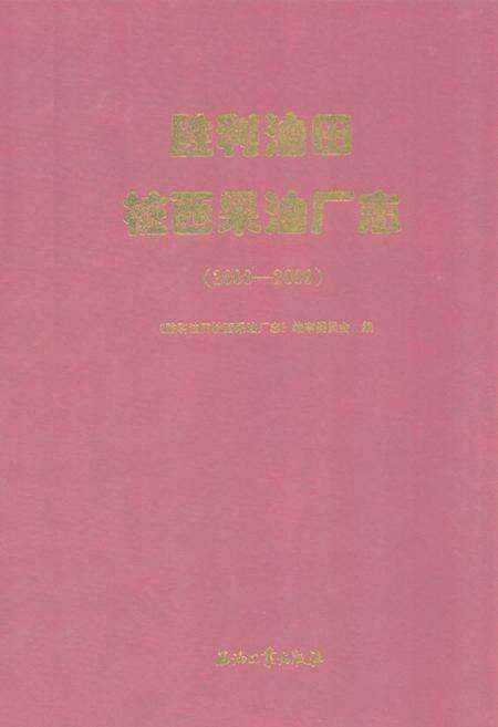 《胜利油田桩西采油厂志(2000-2009)》.pdf_山东省志缩略图