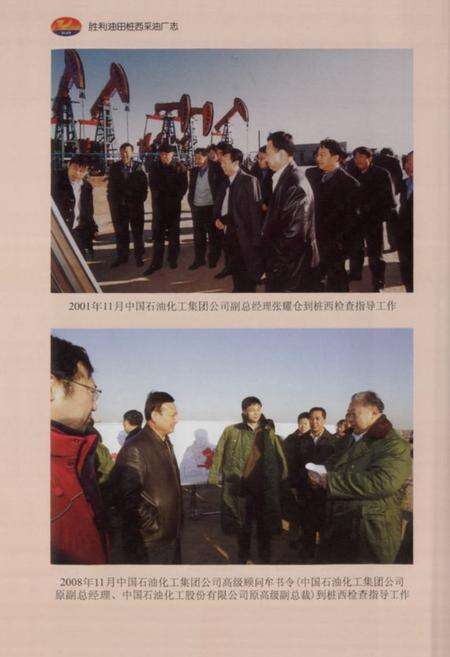 《胜利油田桩西采油厂志(2000-2009)》.pdf_山东省志预览图5